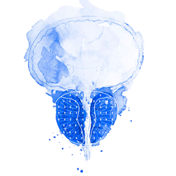 diagnostico_cancer_prostata